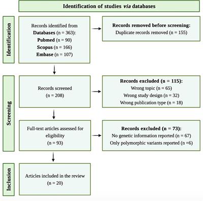 Genetic bases of C7 deficiency: systematic review and report of a novel deletion determining functional hemizygosity